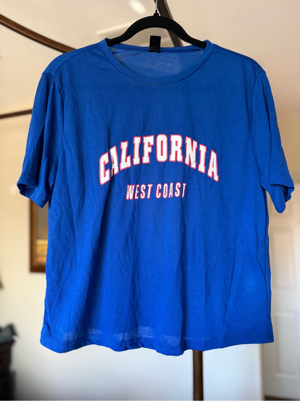 SHEIN California West Coast Blue Graphic Tee